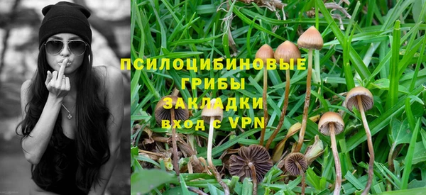 меф Алексин