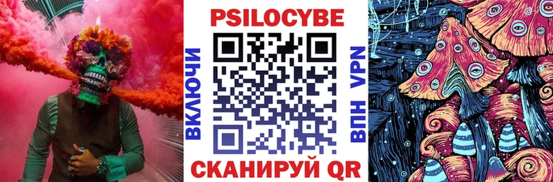 МЕГА вход  Никольск  Псилоцибиновые грибы Cubensis 